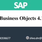 SAP BUSINESS OBJECT(BO 4.1)