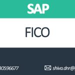 SAP FICO