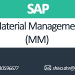 SAP MM