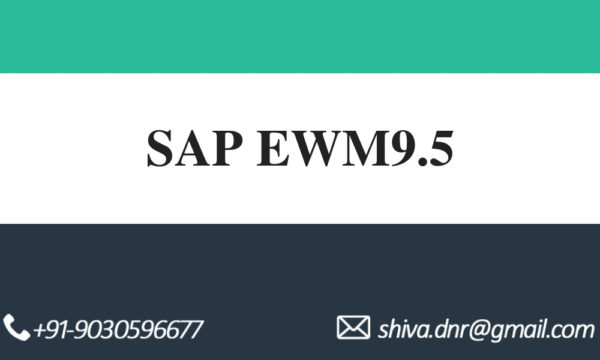 SAP EWM9.5 VIDEOS