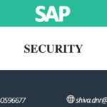 SAP SECURITY